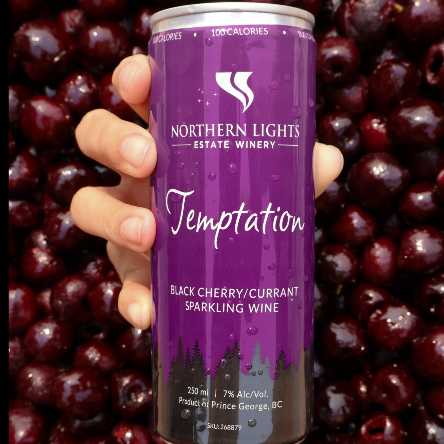 Temptation (Black Cherry/Currant)