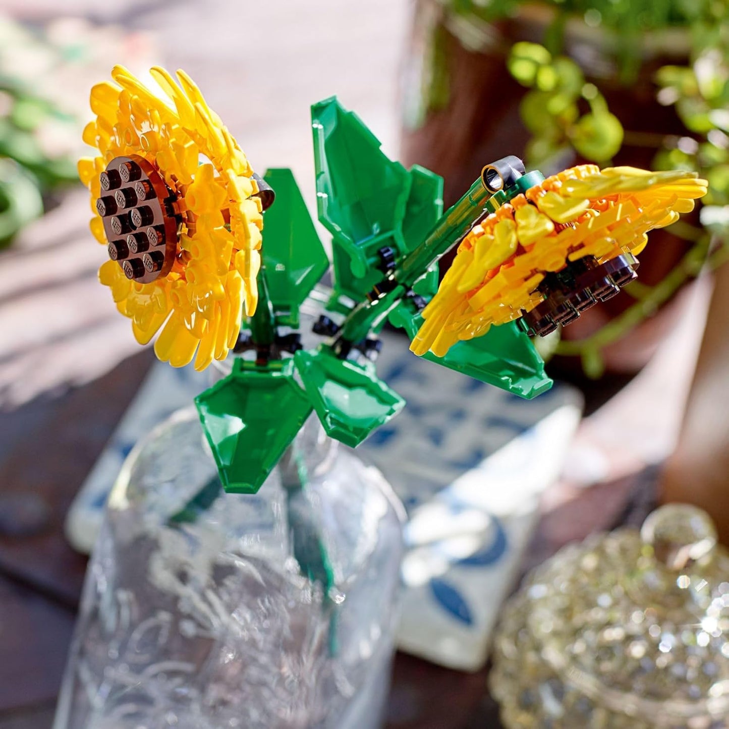 Bricks & Sips-Birds & Botanicals